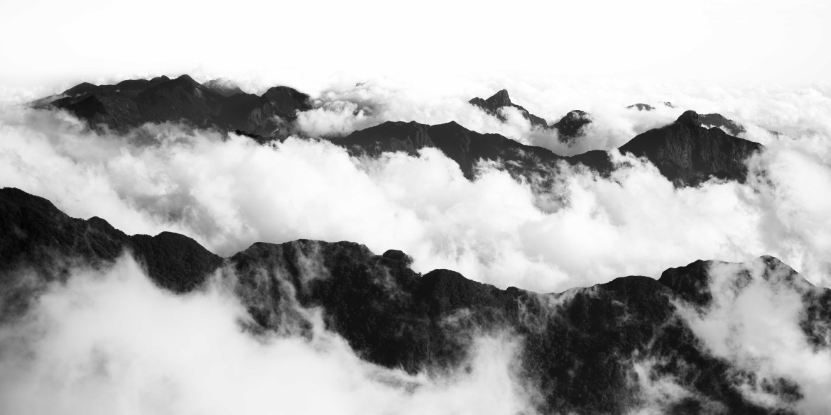 first-image-background